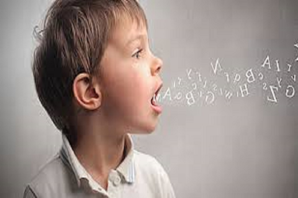 Dil ve Konuşma Güçlüğü Destek Eğitim Programı