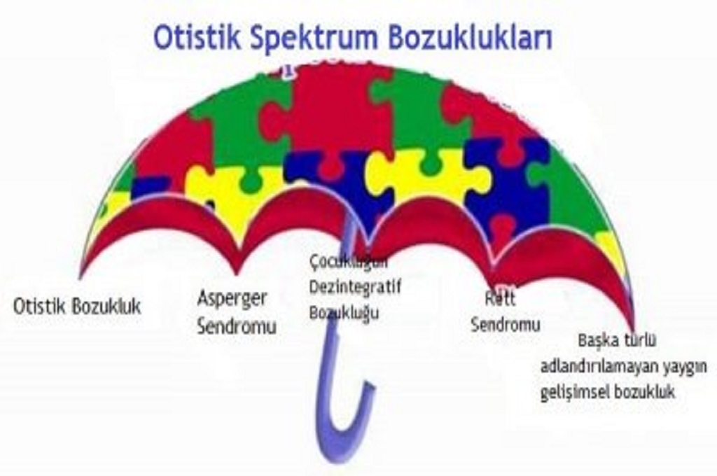 Yaygın Gelişimsel Bozukluklar Destek Eğitim Programı